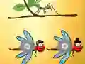 Joc Find Dragonfly Cooper on-line