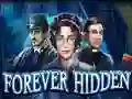 Joc Forever Hidden on-line