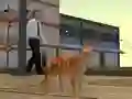 Joc Cat City Simulator on-line