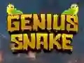 Joc Genius Snake on-line