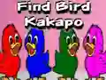 Joc Find Bird Kakapo on-line
