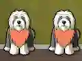 Joc Find Dog Bailey on-line