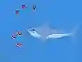 Joc Oceans Shees on-line