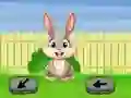 Joc Springtime Escape on-line