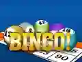 Joc Bingooo 2024 on-line