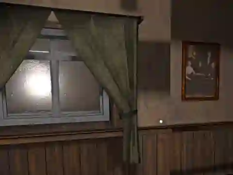 Joc Hide and Seek Pro on-line
