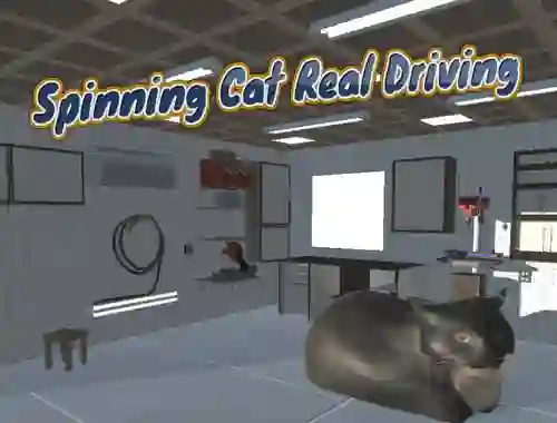Joc Spinning Cat Real Driving on-line