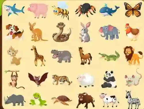 Joc Discover Animals on-line