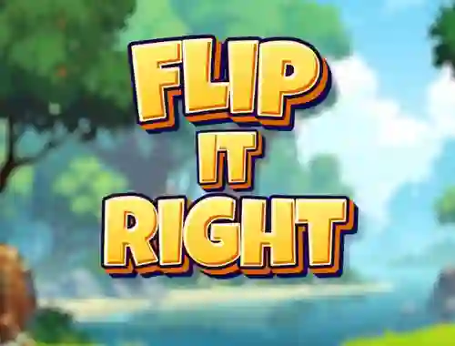 Joc Flip It Right on-line
