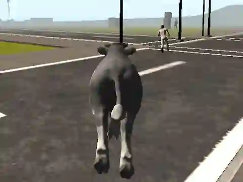 Joc Crazy Bull City on-line