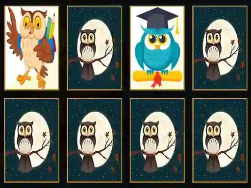 Joc Cute Owl Memory on-line