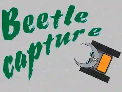 Joc Beetle Capture on-line