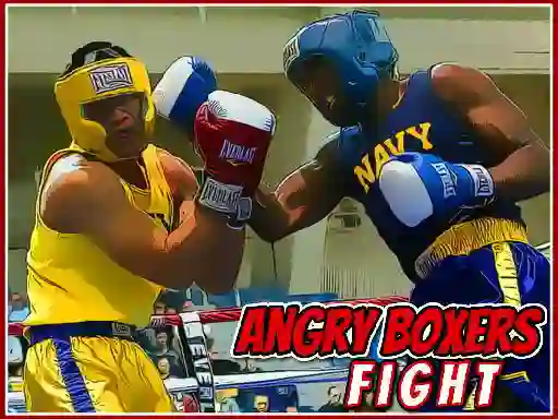 Joc Angry Boxers Fight on-line