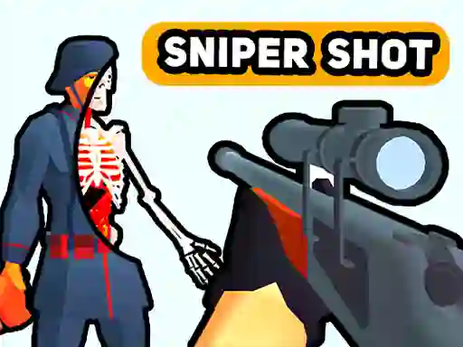 Joc Sniper Shot: Bullet Time on-line