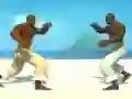 Joc Capoeira fighter on-line