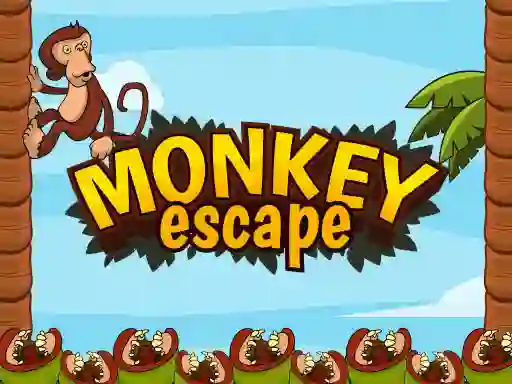 Joc Monkey Escape on-line