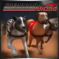 Joc Greyhound Racing on-line