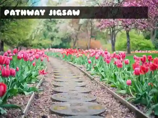 Joc Pathway Jigsaw on-line