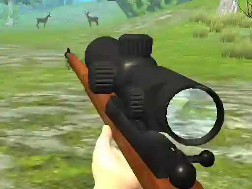 Joc Hunter 3D on-line