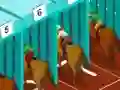 Joc Derby racing on-line