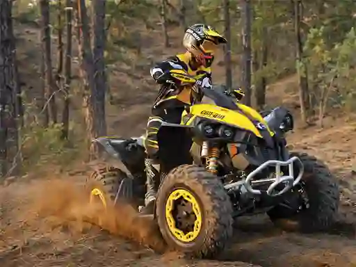Joc ATV Offroad Puzzle on-line