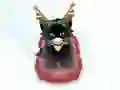 Joc Pet Sledding on-line