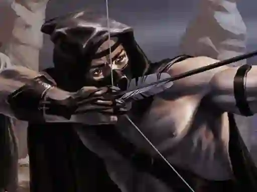 Joc Shadow Archers on-line