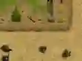 Joc Ambush on-line