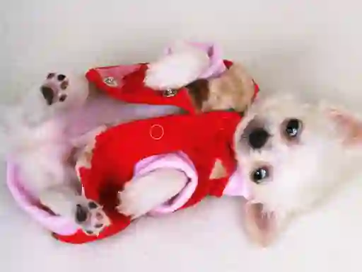 Joc Lovely Puppy Slide on-line