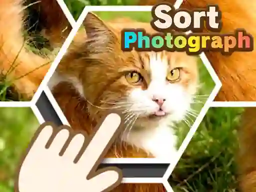 Joc Sort Photograph on-line