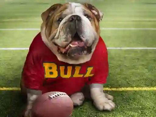 Joc Funny Doggy on-line