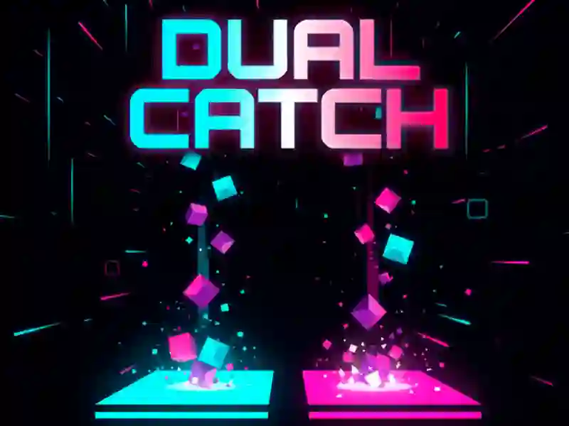 Joc Dual Catch on-line