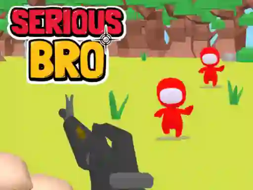 Joc Serious Bro on-line