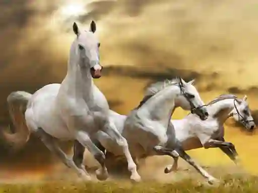 Joc Running Horse Slide on-line