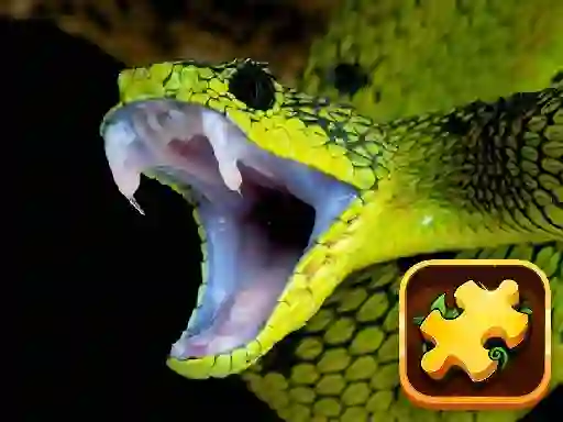Joc Snake Puzzle Challenge on-line