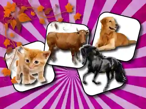 Joc Domestic Animal Memory Challenge on-line