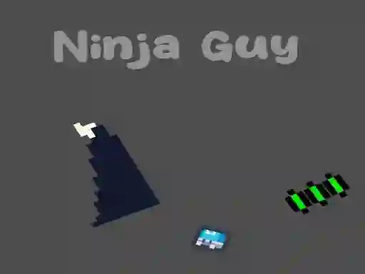 Joc Ninja Guy on-line