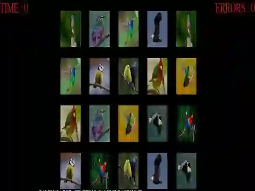 Joc Memorize the birds on-line
