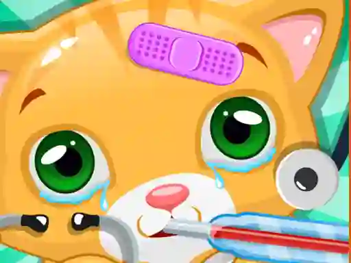 Joc Little Cat Doctor on-line