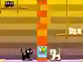 Joc Swing Cat on-line