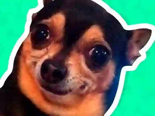 Joc What meme dog are you ? on-line