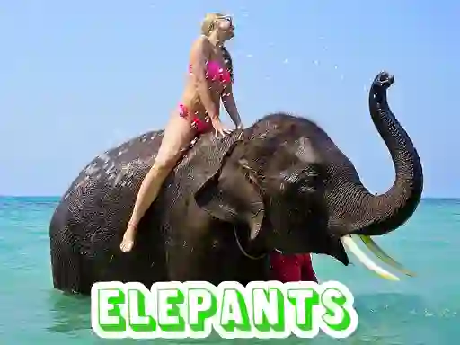 Joc Elephants Puzzle on-line