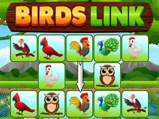 Joc Birds Link on-line