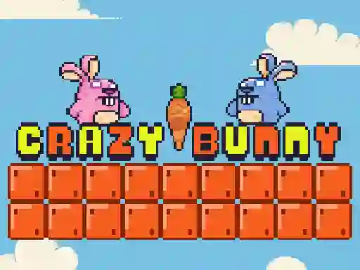 Joc Crazy Bunny on-line