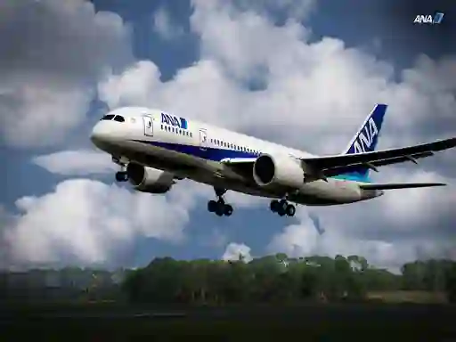 Joc Boeing Dreamliner Puzzle on-line