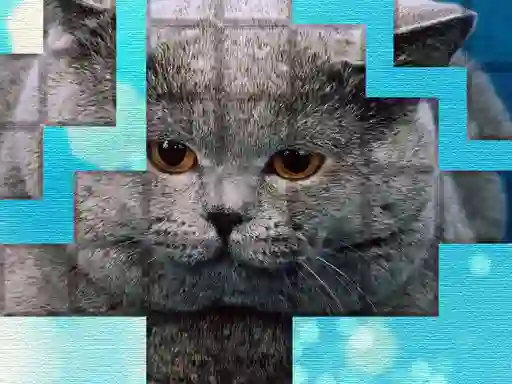 Joc PicPu Cat on-line