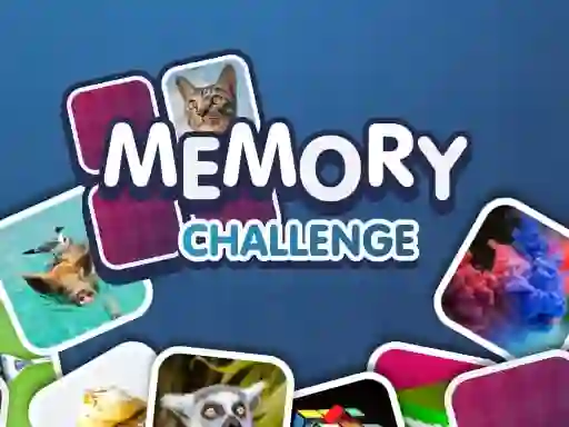 Joc Memory Challenge on-line