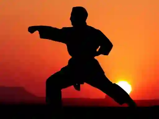 Joc Karate Sunset Warriors on-line