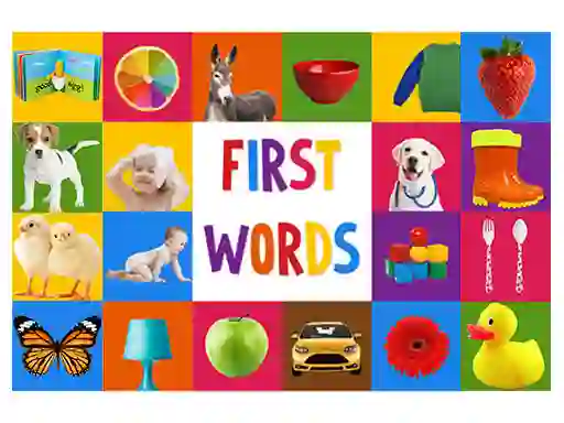 Joc First Words on-line