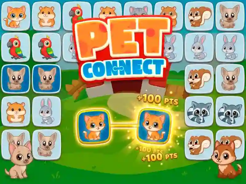 Joc Pet connect on-line